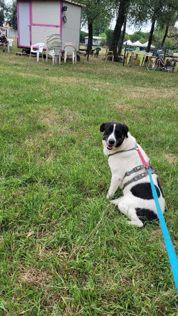 COOKIE_SPLENDIDA METICCIA Foto 4